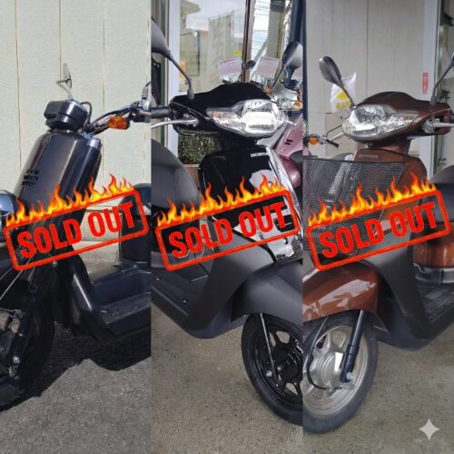 1月上旬で販売の3台