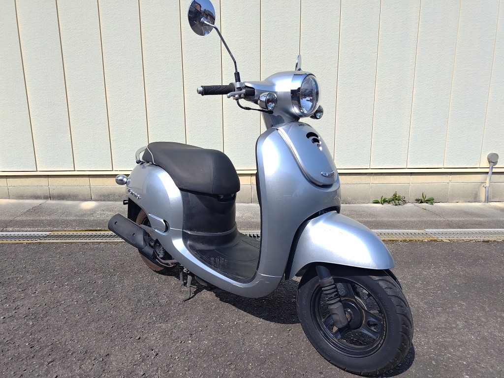 ジョルノデジタルシルバー